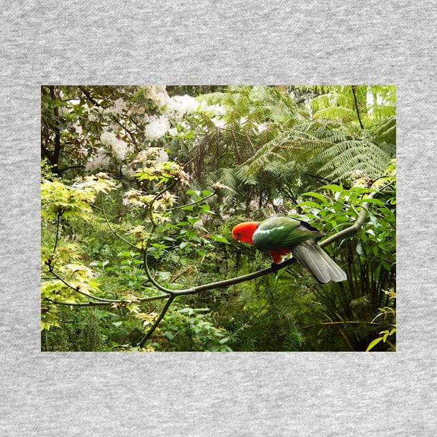 King Parrot by rozmcq